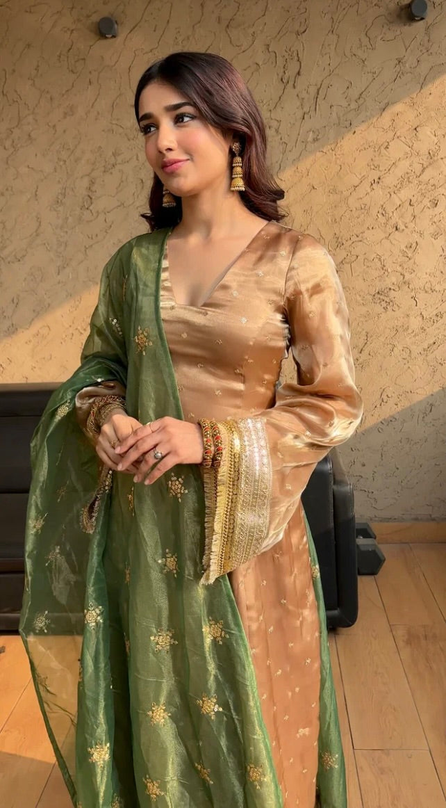 Roohani Noor – Ethereal elegance with a touch of shimmer