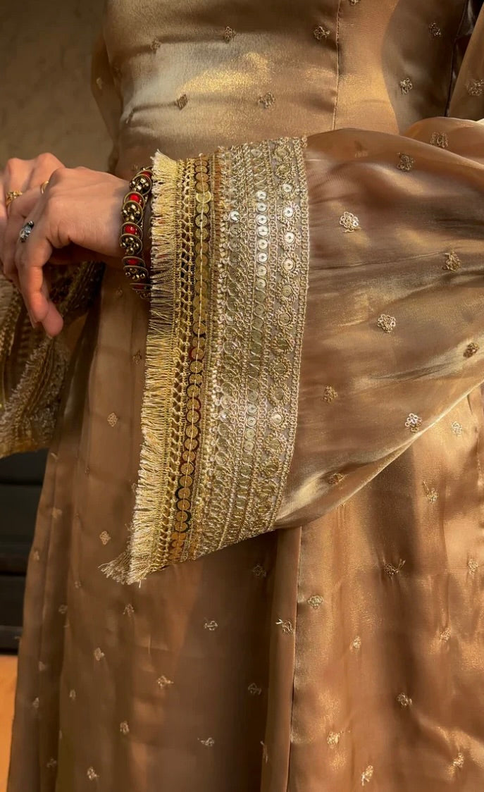 Roohani Noor – Ethereal elegance with a touch of shimmer
