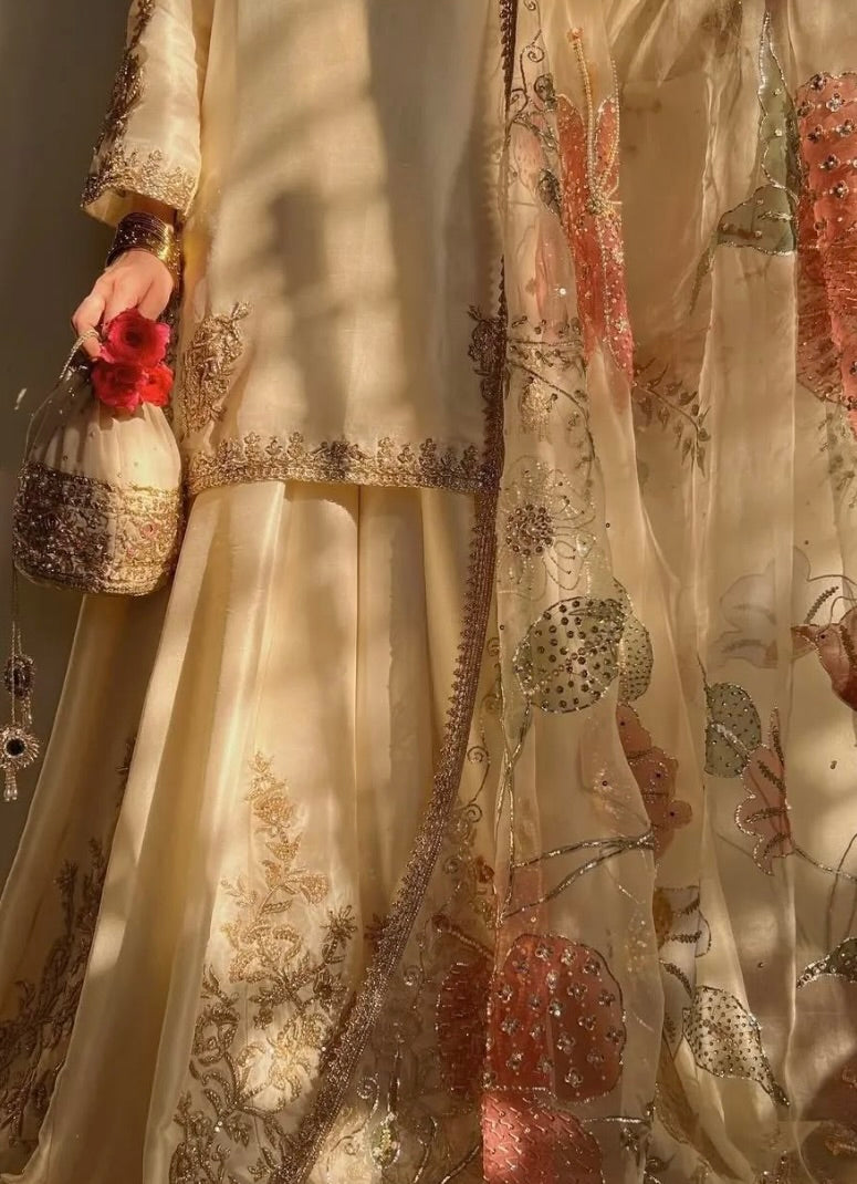 Aayat Embellish – A celestial creation of sequins and embroider